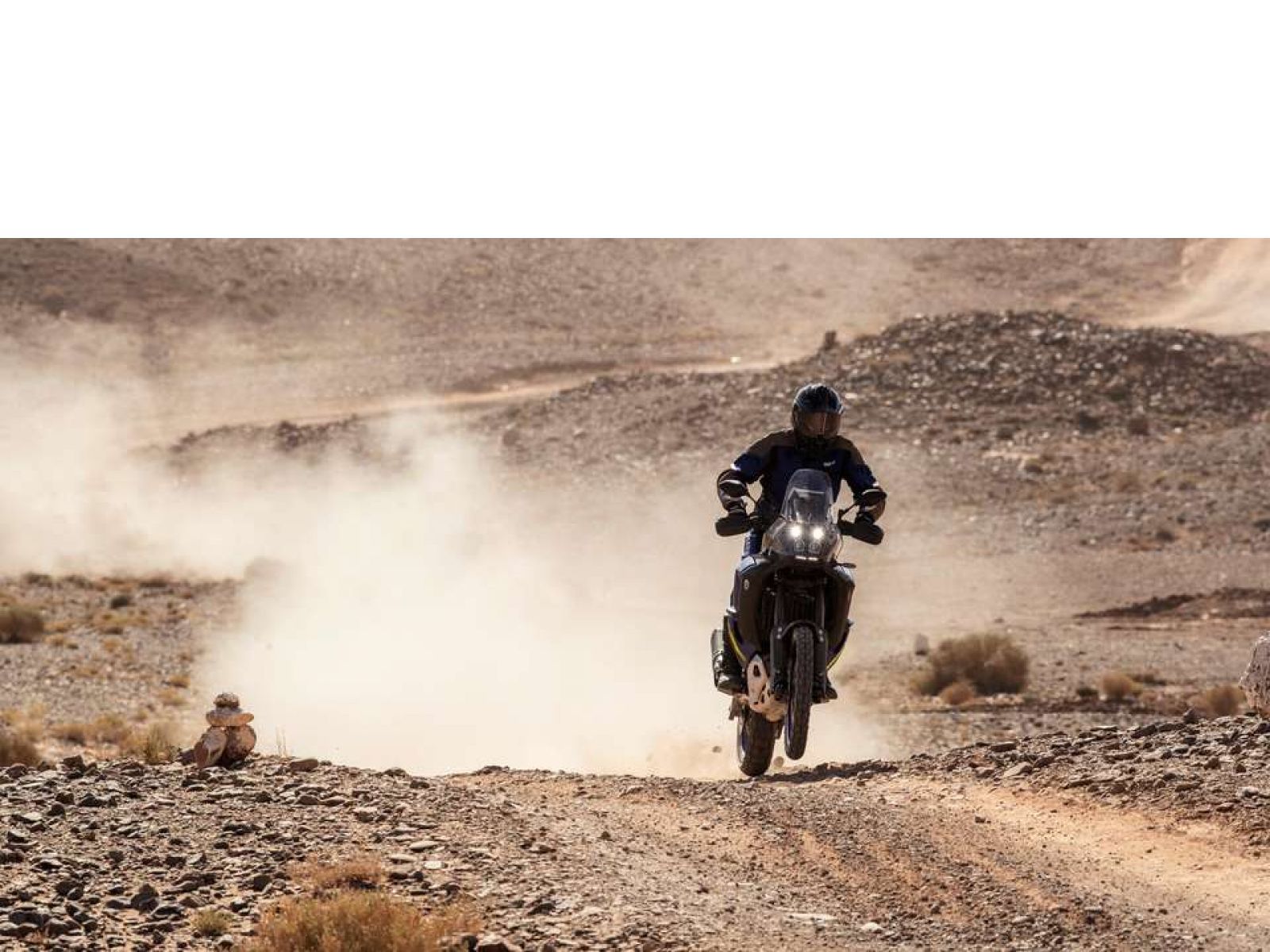 Мотоцикл YAMAHA Tenere 700 World Raid (Icon Blue) 2024